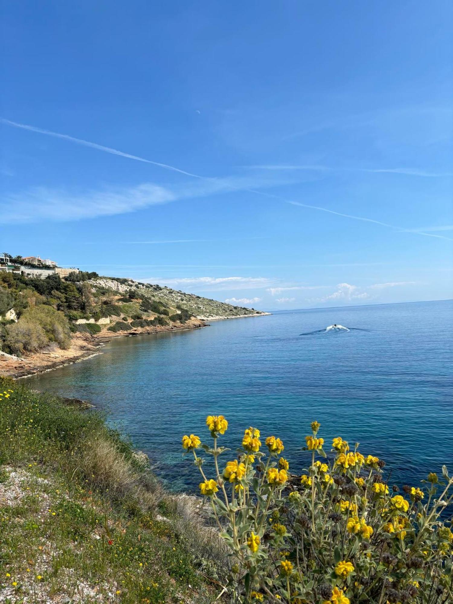 Dhaskalion Attica Vacation Home מראה חיצוני תמונה